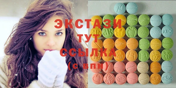 ECSTASY Богородицк