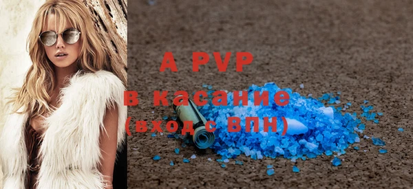 ECSTASY Богородицк