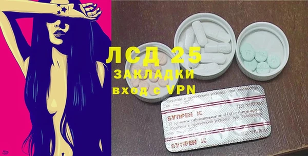 ECSTASY Богородицк