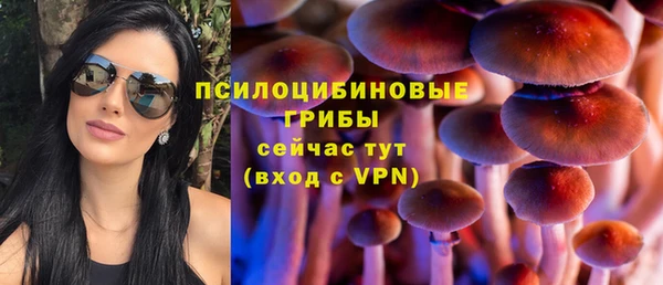 ECSTASY Богородицк
