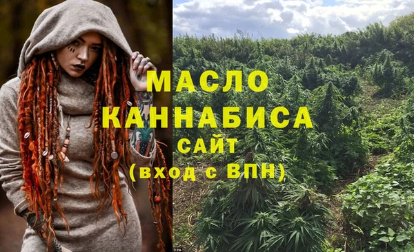 ECSTASY Богородицк