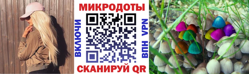где купить наркоту  Дрезна  гидра ТОР  Галлюциногенные грибы ЛСД 